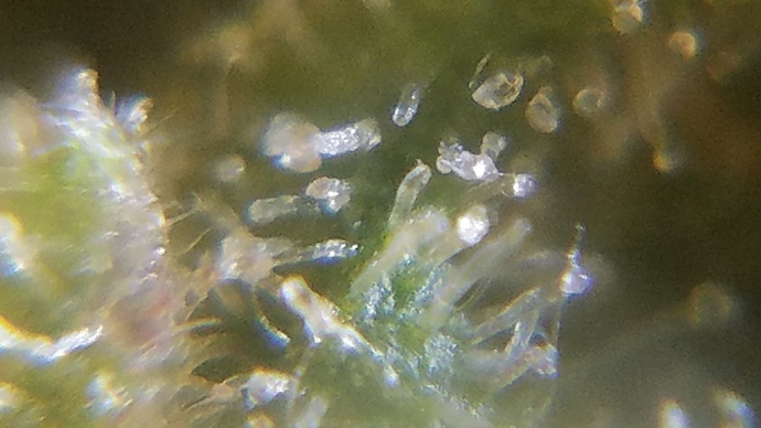 20181101_152901%5B1%5D