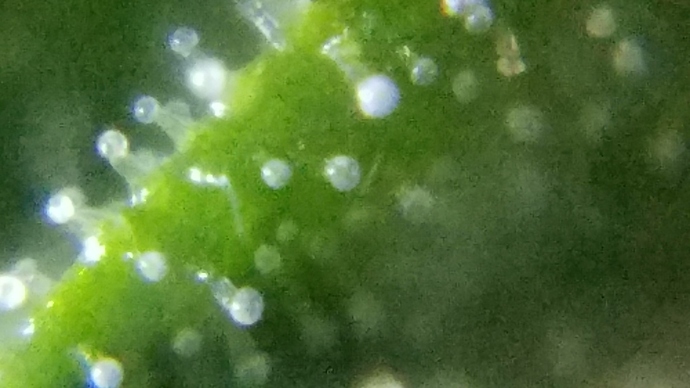 20181029_084554
