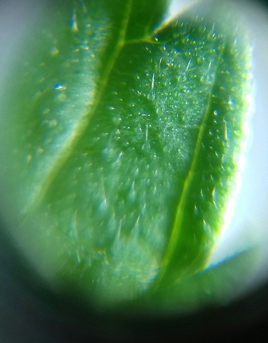 20170920_212356-1