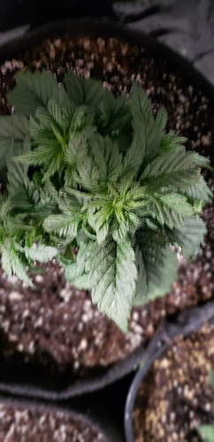 20180429_161146