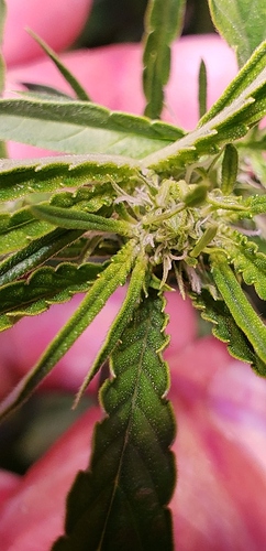 39454579_263643444248472_4162427555887972352_n