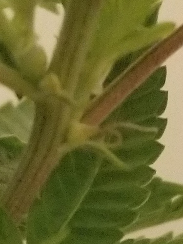 20171020_000639