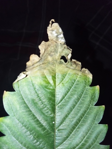 20180516_100257