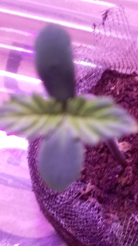 20181005_224113