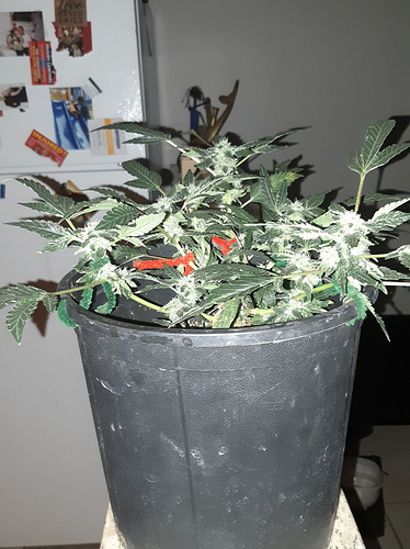 20190502_154334