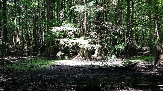 Resized_20160602_135708