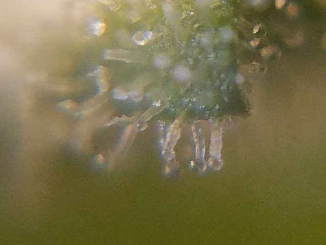 20181104_090107