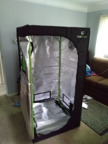 Tent