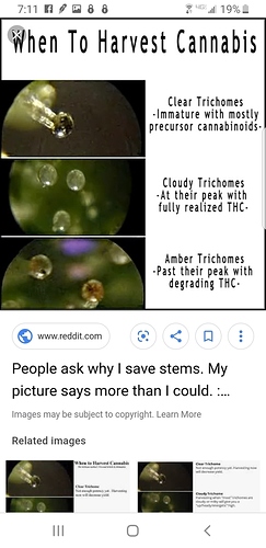 Screenshot_20190727-071139_Chrome