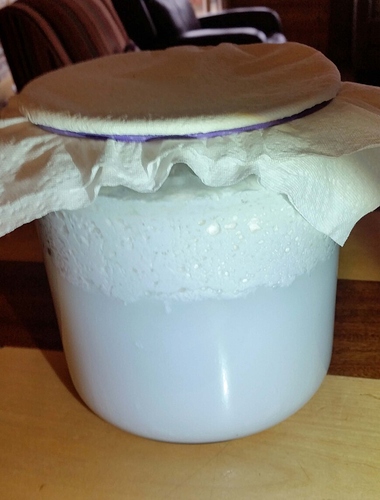 Lacto%20First%20Run