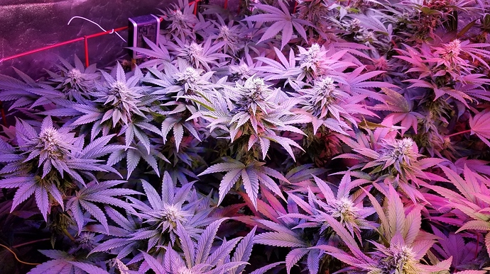 20180925_071509