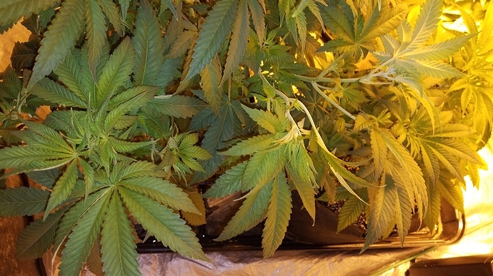 PHOTO_20180424_202504