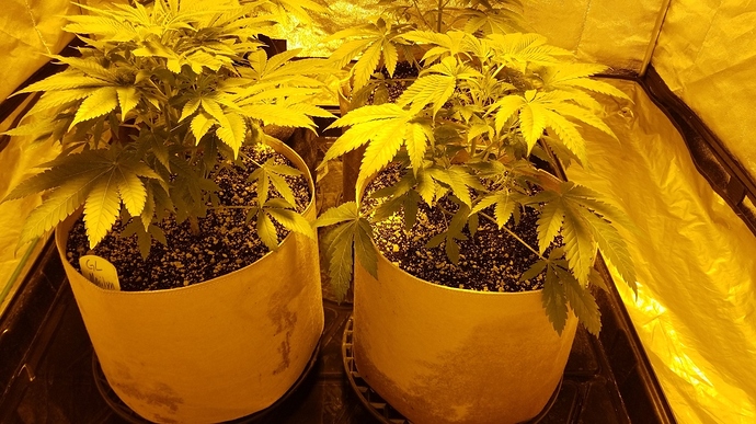 PHOTO_20180421_094017