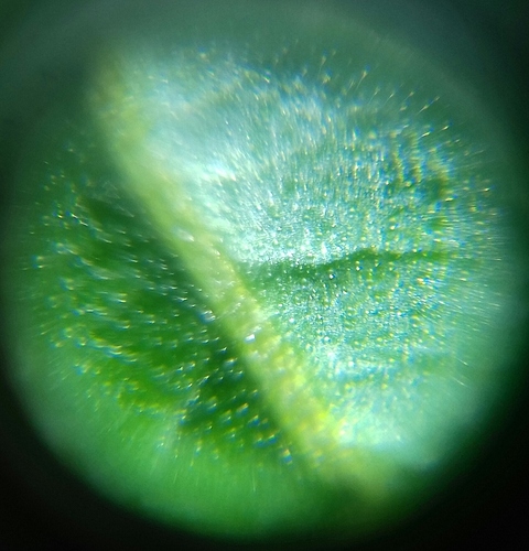 20170925_195604-1