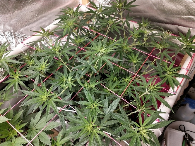 IMG_20190709_213810952_HDR