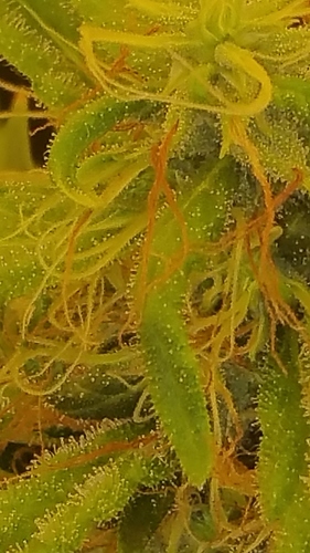20181010_100223
