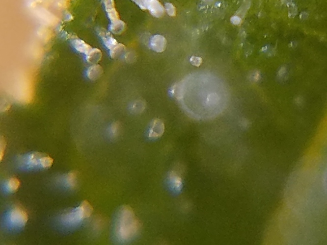20181104_090029