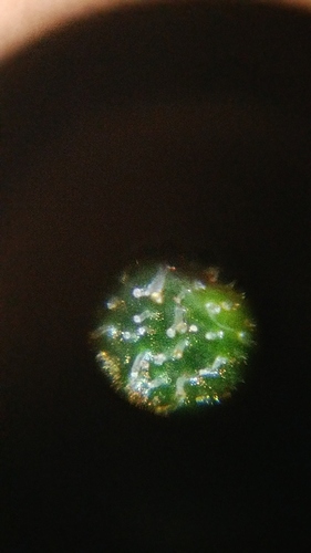 20171002_195522