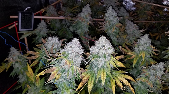 20181102_070648