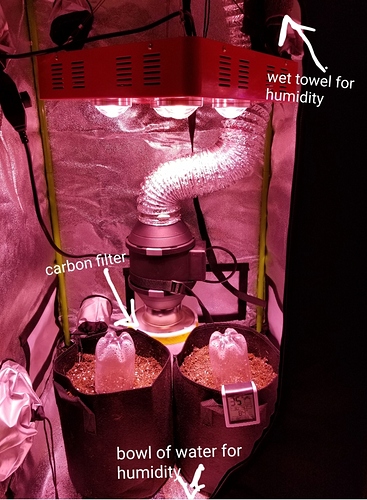 SmartSelect_20180823-161901_Photo%20Editor