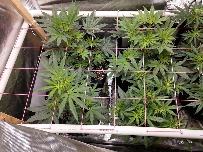 IMG_20190709_213816459_HDR