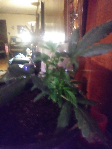 1524191023966525863270