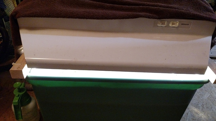 IMG_20170904_124340249