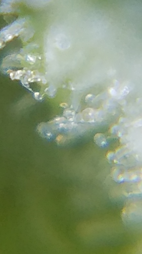 20181029_073318