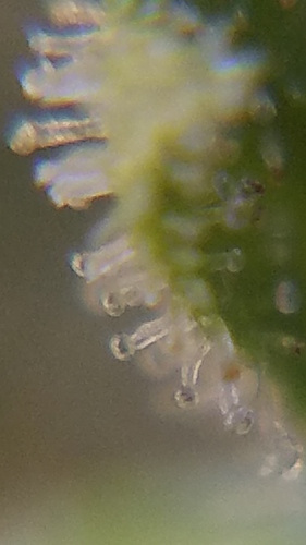 20181103_094843