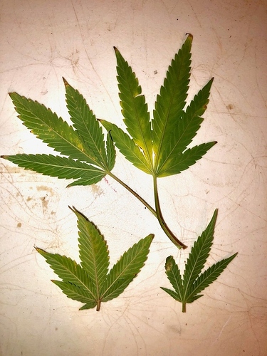 image2.jpeg