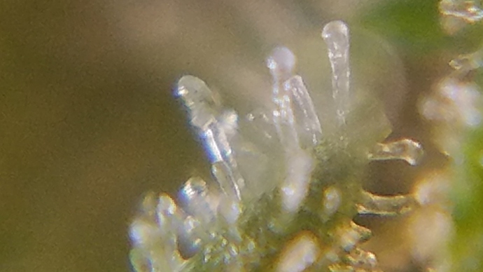 20181103_095045