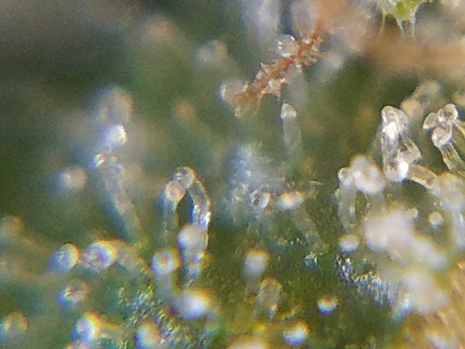 20181104_090143