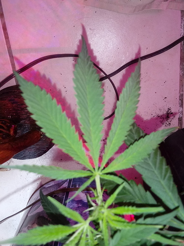 20190214_085031