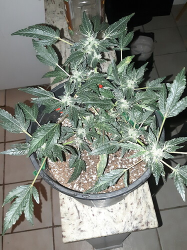20190502_154339