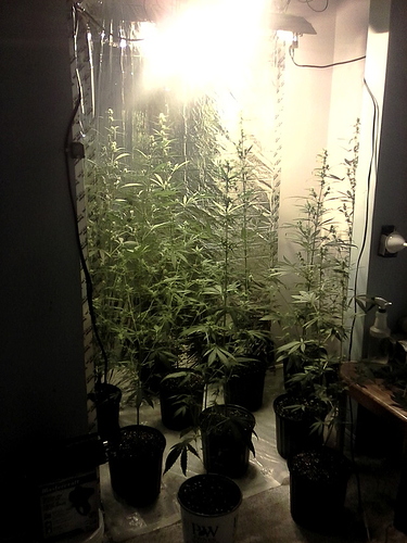 closet