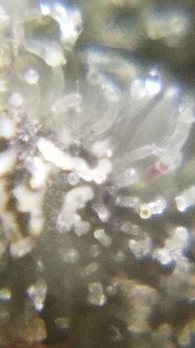 20181031_073657