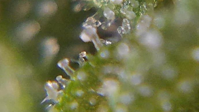 20181103_094925