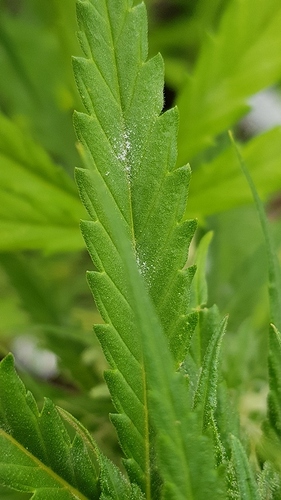 20190830_105219