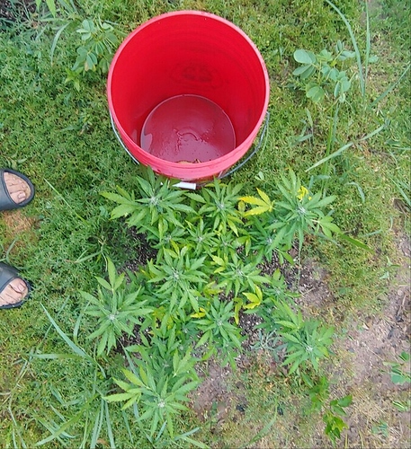20190602_073103(1)