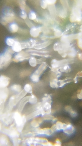20181031_073643