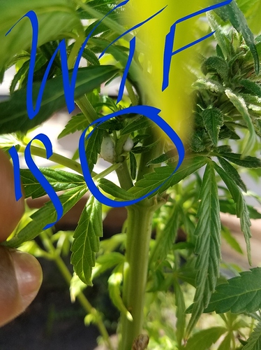 20180629_170222