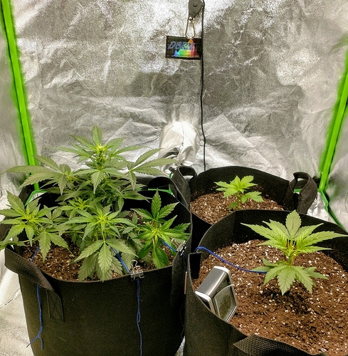 IMG_20190217_181203381_HDR