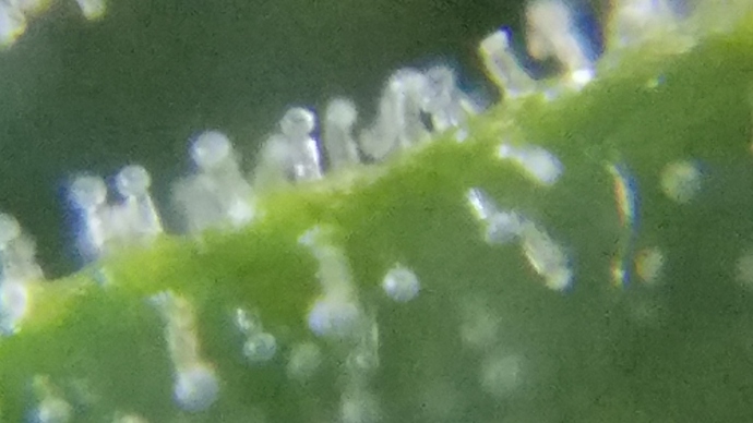 20181029_084642