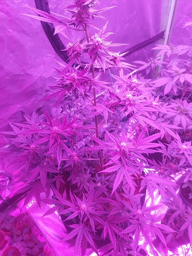0415191733d