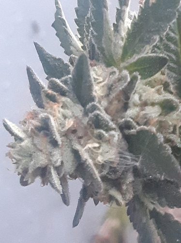 20190306_182204
