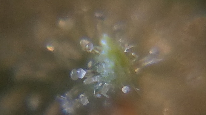 20181101_153540%5B1%5D