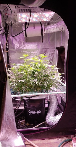 39409686_2021609327882889_613306134274506752_n