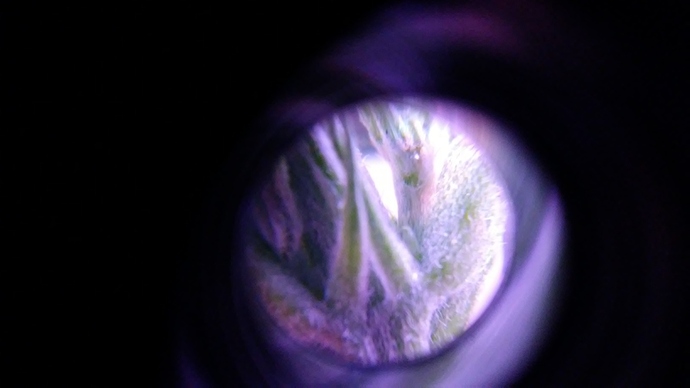 20181008_162447