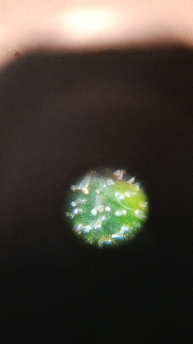20171002_195458