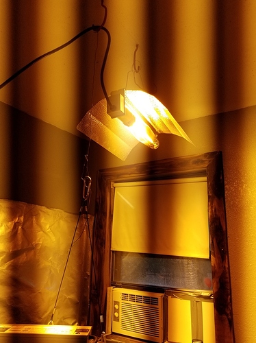 20181231_124002